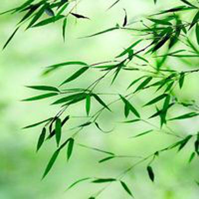 泰国总理从劳斯莱斯改开比亚迪